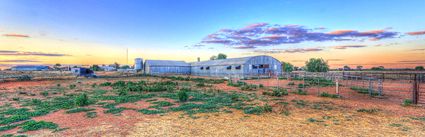 Bucklow Station - Woolshed - NSW (PB5D 00 2661)